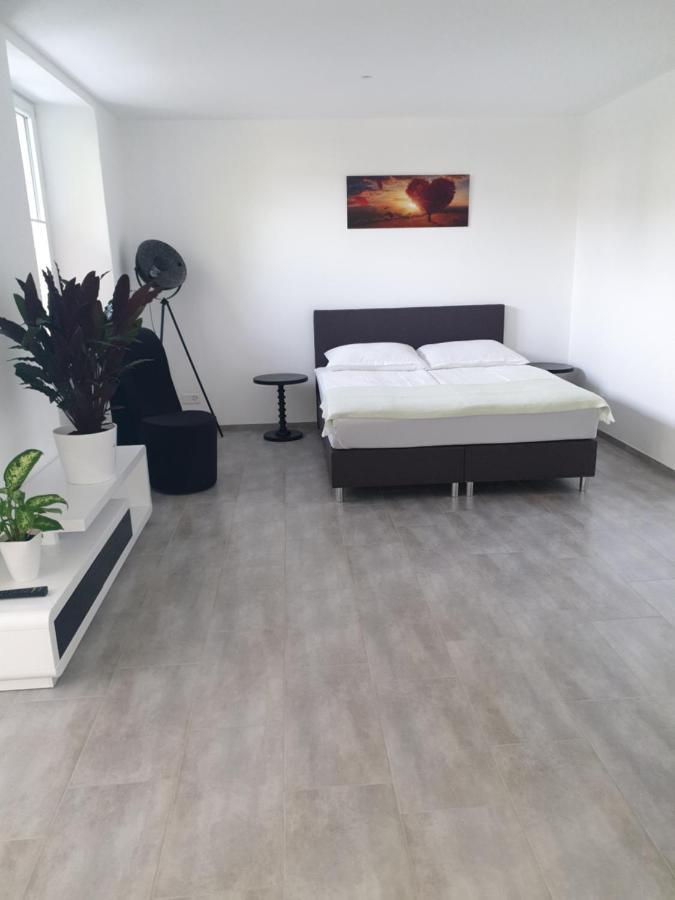 Business Apartment Turgi 외부 사진